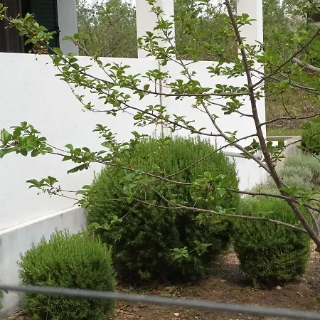 Apartman Maka Kučiće