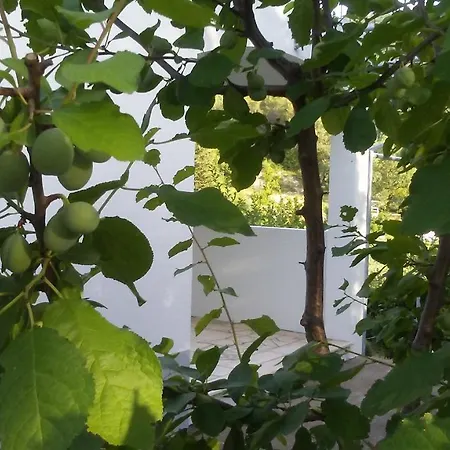 Apartman Maka Willa